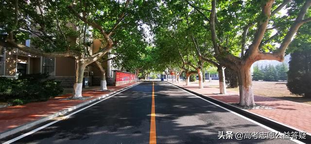 大连海事大学就业怎么样？