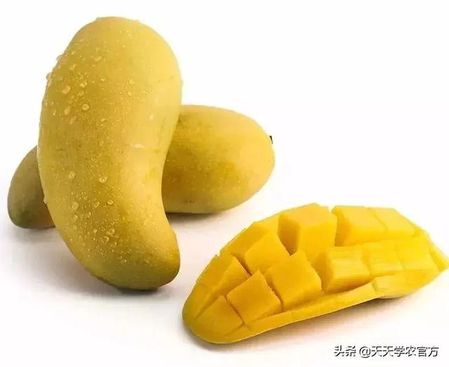 普洱单缸圆锥破碎机哪家价格便宜