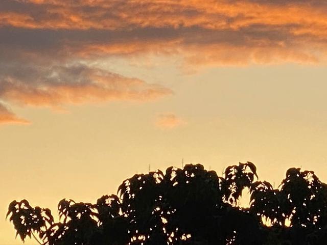 意不意外? 华为P50 Pro首测2: 网友要求再拍10组对比, 逼出它影像极限