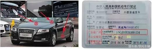 vin码是什么(vin码是什么在哪里看)