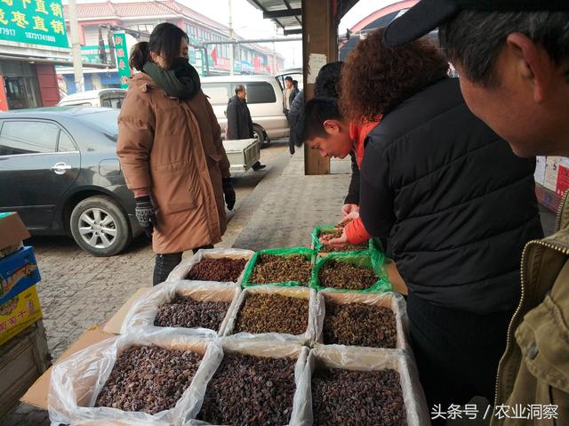 中国最大的红枣交易中心，原来就在这个农村小镇上！价格很便宜！12