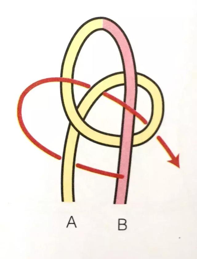 流苏针教程详解:龟背结编织小乌龟我们需要用到双重龟背结和释迦结