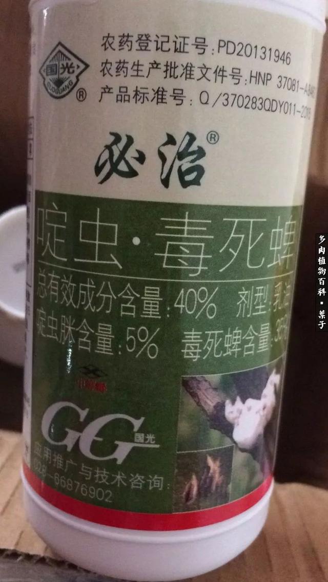 春天万物复苏，你的多肉杀虫杀菌了吗？15