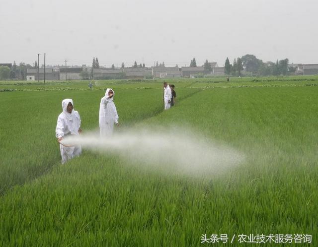 农业生产中常见的杀菌剂分类