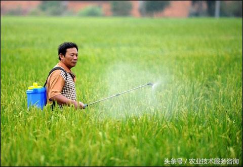 农业生产中常见的杀菌剂分类3