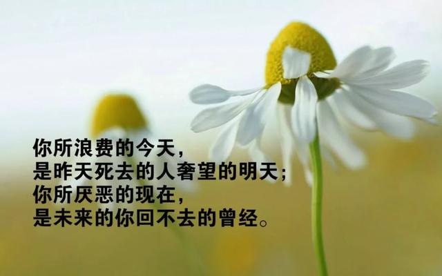 早安正能量语录180412：鲜花和掌声当作前进动力，挫折和失败化为奋进勇气