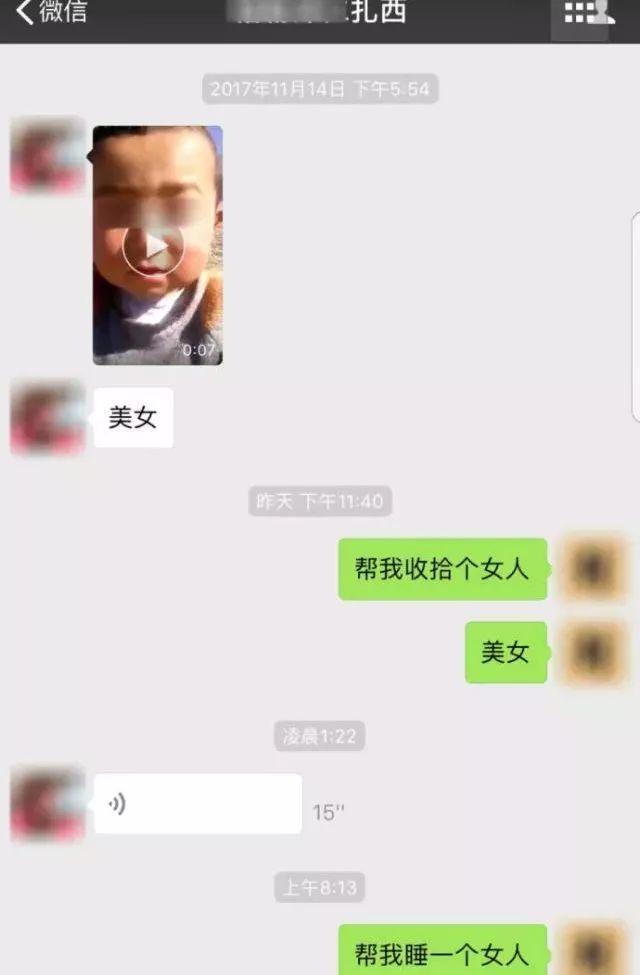 柯基犬摔死后续