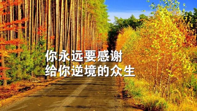 早安心语励志190112：失败的人习惯放弃，成功的人永远选择坚持