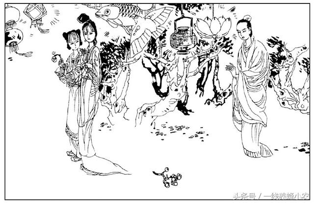 聊斋志异婴宁:聊斋志异图画版之婴宁译文白话文