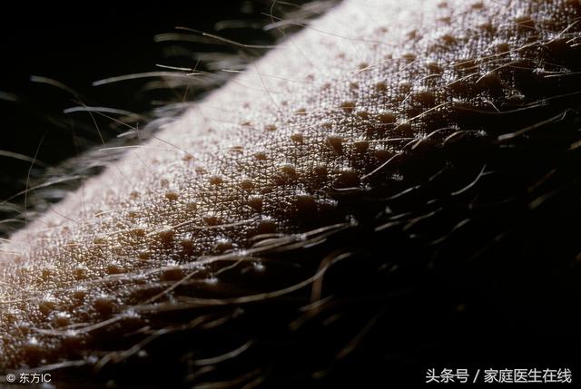 皮肤长许多鸡皮疙瘩