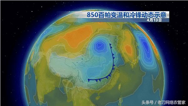 怪事！叶片上这黑点、白点是什么？专家帮你解疑答惑