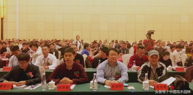 福建省鸿展园林绿化工程案件