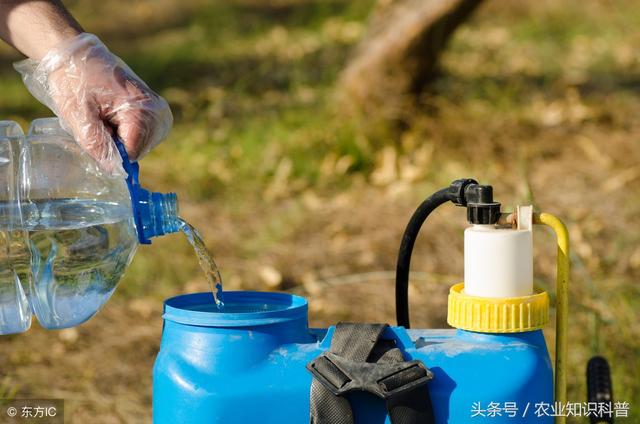 苹果套袋前打药有讲究，三个用药配方保证虫少病少，果实好！2