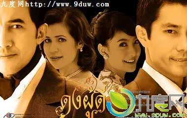 ̩���ȫ��װ���Ӿ�(��Ŀ�����¹�װ̩�缯�����ӵ�������һ�ԡ��Ĺ�װ��Ҫ������ӳŶ)