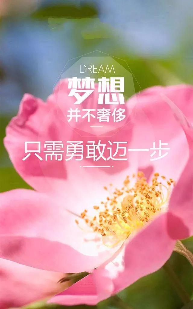 早安正能量心语180424：不着急，静静熬，用所有寂寞时光为自己鼓掌