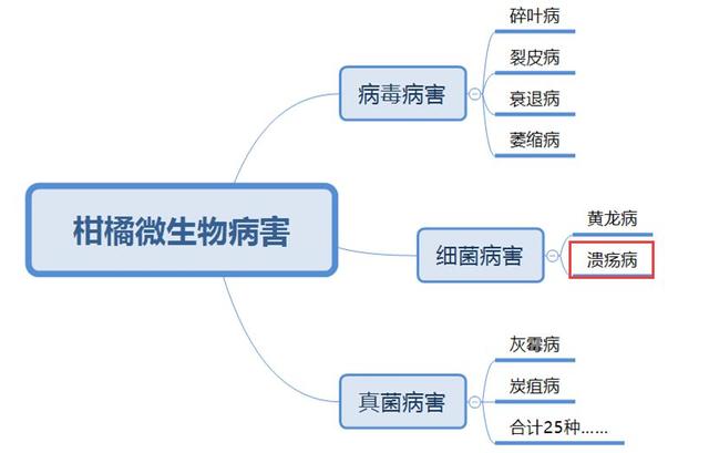 柑橘溃疡病综合防治技术及常用药剂详细分析，太全了！11