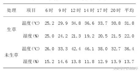 葡萄日灼、气灼怎么预防？6