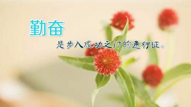 星期一早安心语正能量180723：努力书写今天，让明天的怀念多一些亮色