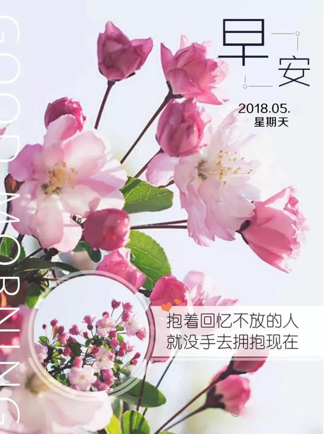 早安励志日签180520：人生因为经历，所以才懂得