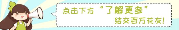 幸福树的养殖方法 幸福树的养殖方法（幸福树的养殖方法和注意事项） 生活