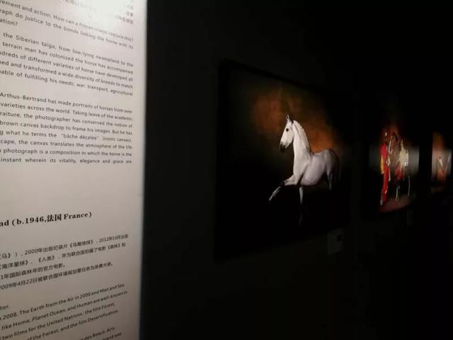 机械展观后总结
