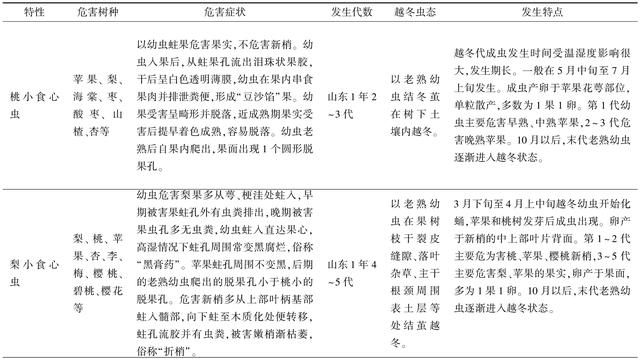 苹果主要食心虫的发生的关键因素及防治措施2