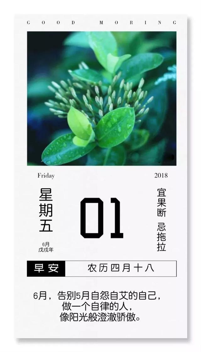 六月早安励志日签：6月，努力做自己