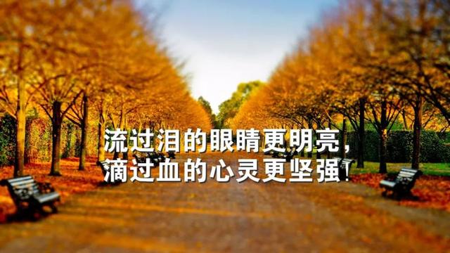 早安心语正能量181029：不要被安逸所控制，决定你成功的，是奋斗