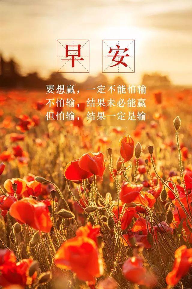 早安正能量心语180607：再小的力量，也可以创造大不同