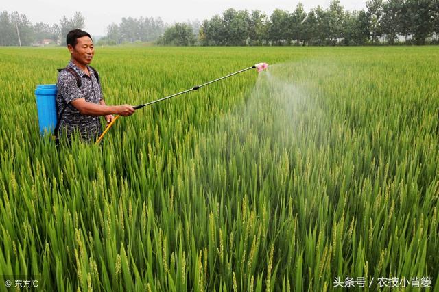 除草剂如何使用效果最好？今天一次给你说清楚！