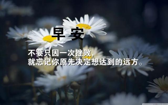 周一早安励志心语180611：不走心的努力，都是在敷衍自己