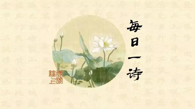 空山不见人全文免费阅读(空山不见人但闻人语响全文)