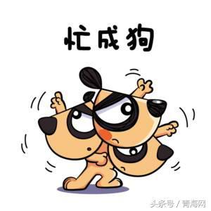 ׽조Ķ֮