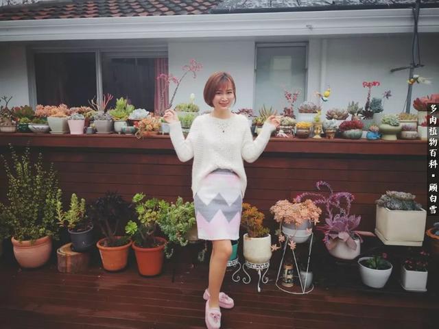 银骑女王 银骑女王（女王铁骑套装） 生活
