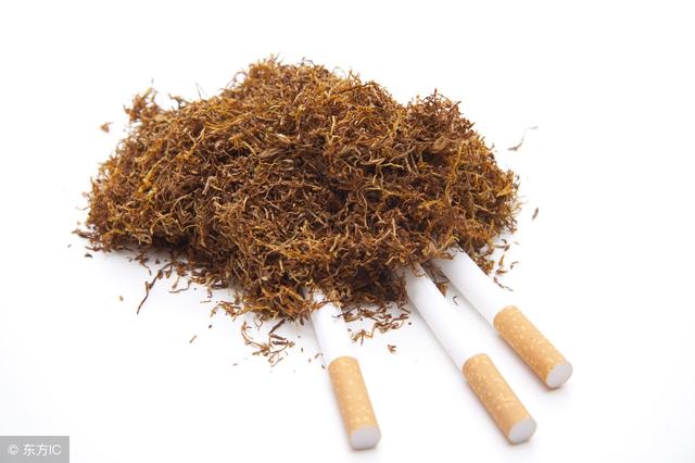烟草发现新功能，可做作物杀虫剂？