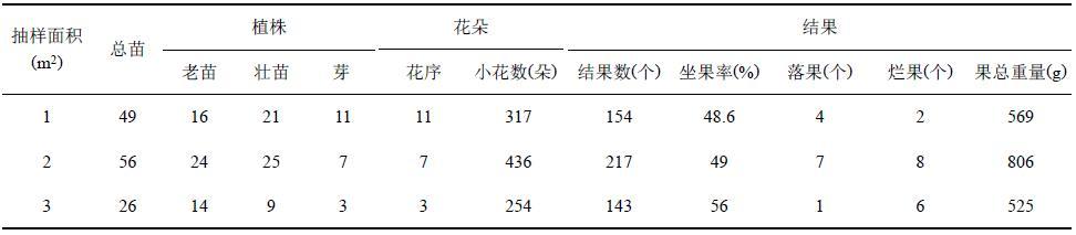 沧源搅拌洗砂机出售