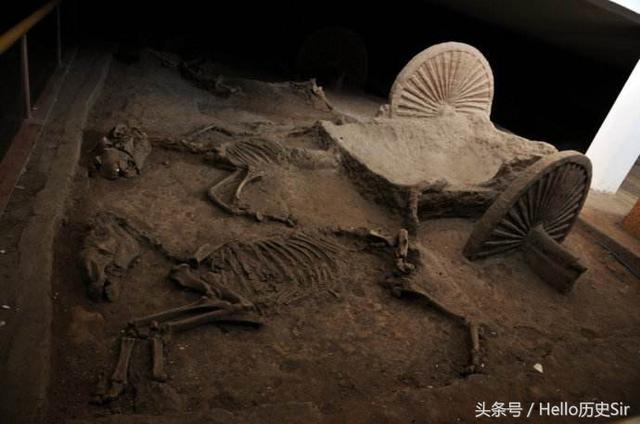 齐景公墓殉马坑展陈工程投入资金