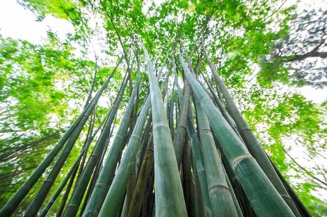 午安心语180621：缘分不是走在街上的撞见，而是睡前醒后彼此的想念