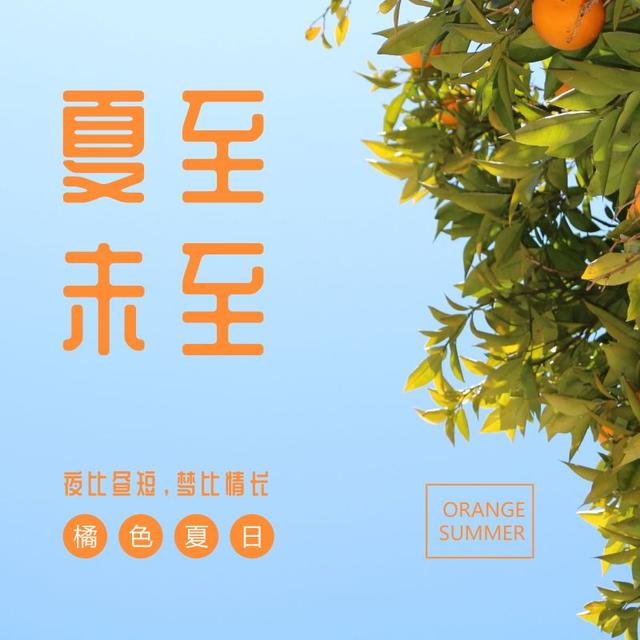 夏至的精美图片大全集锦