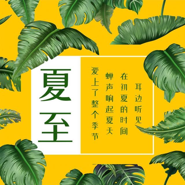 夏至的精美图片大全集锦