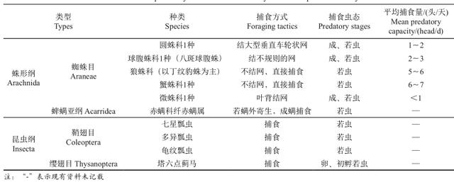 葡萄斑叶蝉发生规律、为害特点和防治措施