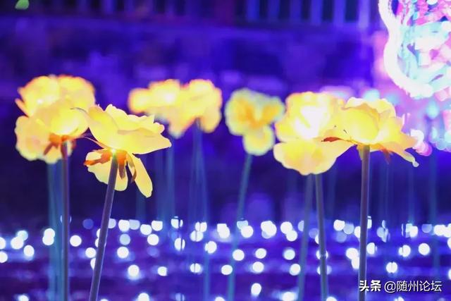 常熟梁山工程灯光展