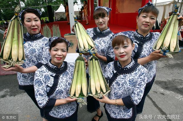 茭白是什么（茭白是什么季节的蔬菜）