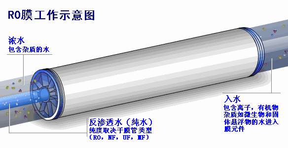 核电用压滤机吗