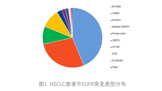 靶向治疗和免疫治疗篇14