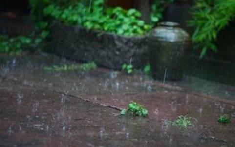 7月午安心语：生如夏花，灿若朝阳