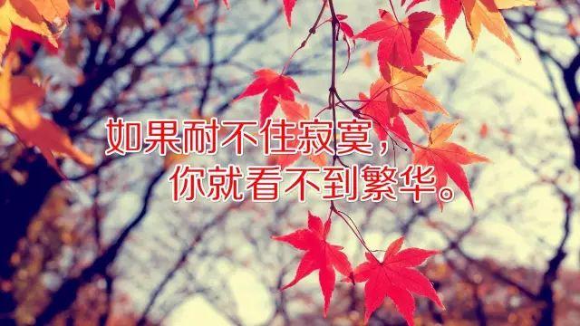 周四正能量早安心语：真正去坚持一件事，时间看的见