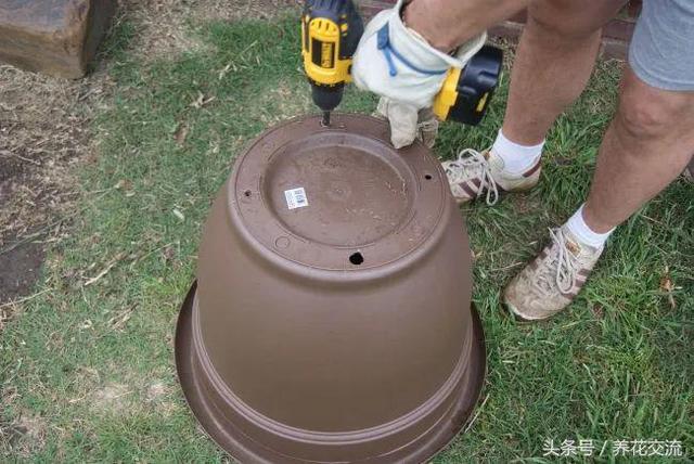 花卉养殖技巧 花卉养殖技巧（家庭盆栽花卉养殖技巧） 生活