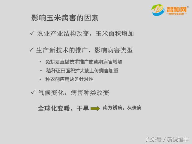 玉米常见病害及特征技术手册（中文版）6