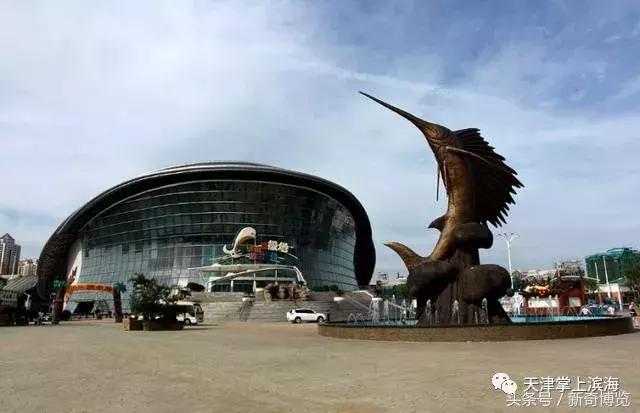 塘沽有什么好玩的?带上这份攻略让你玩上三天三夜不带重样